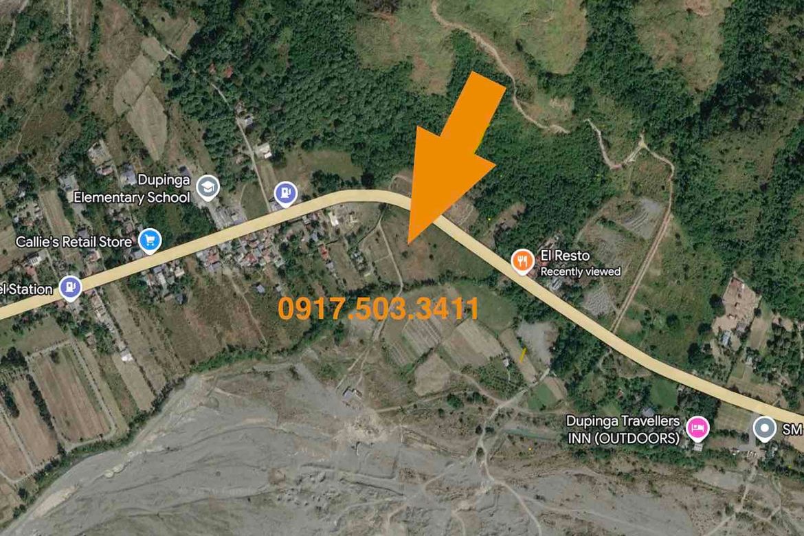Land for Sale in Ligaya, Gabaldon, Nueva Ecija