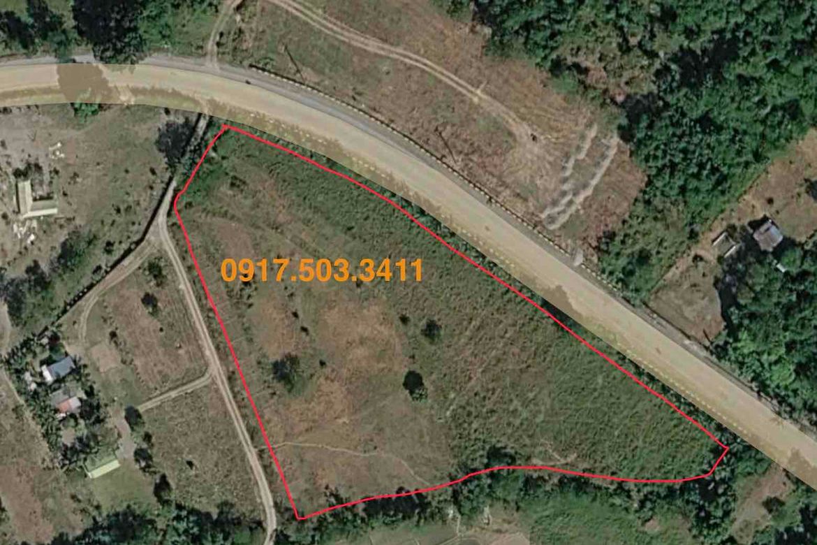 Land for Sale in Ligaya, Gabaldon, Nueva Ecija – photo 2
