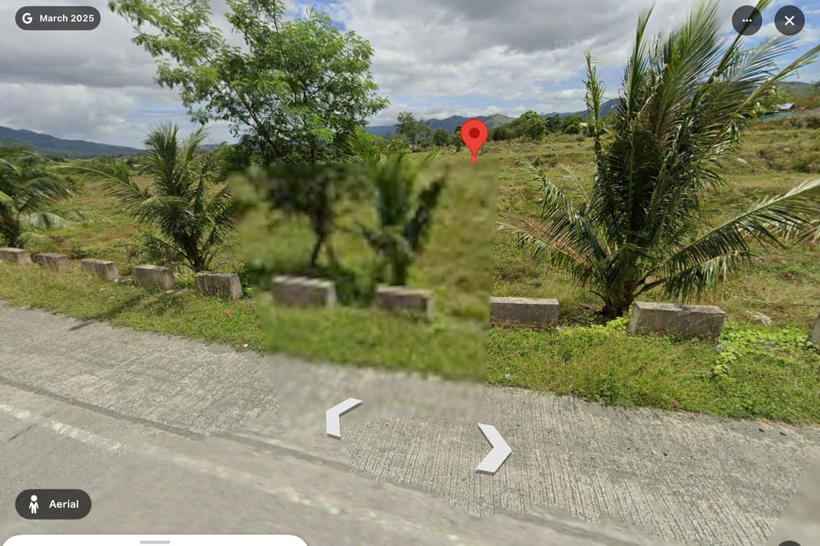 Land for Sale in Ligaya, Gabaldon, Nueva Ecija – photo 4