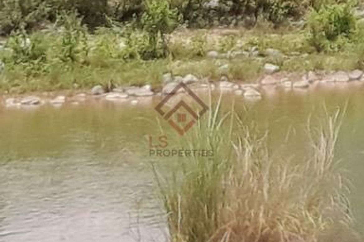 Land for Sale in Ligtasan, Tarlac, Tarlac – photo 5
