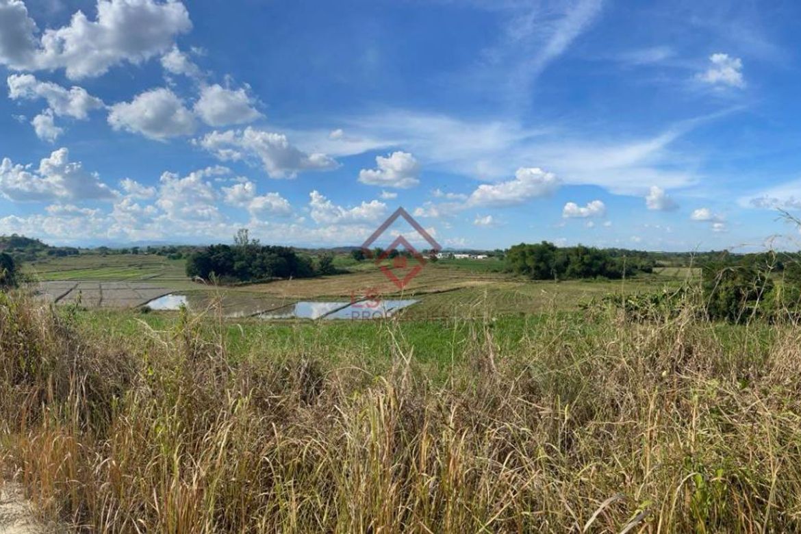 Land for Sale in Ligtasan, Tarlac, Tarlac