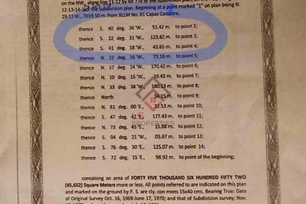 Land for Sale in Ligtasan, Tarlac, Tarlac – photo 8