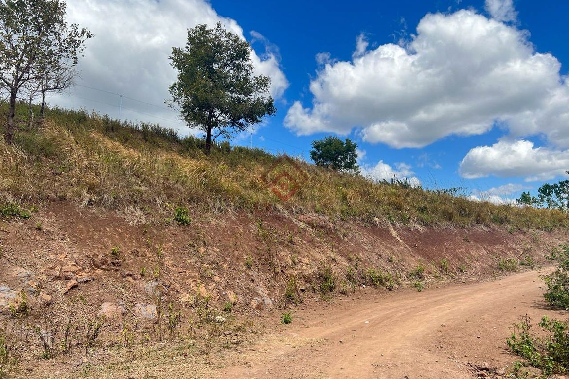 Land for Sale in Ligtasan, Tarlac, Tarlac – photo 5