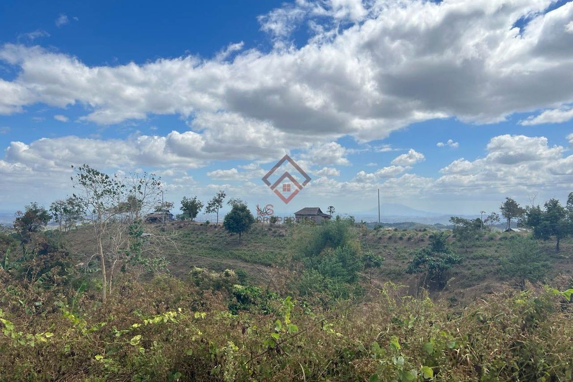 Land for Sale in Ligtasan, Tarlac, Tarlac – photo 6