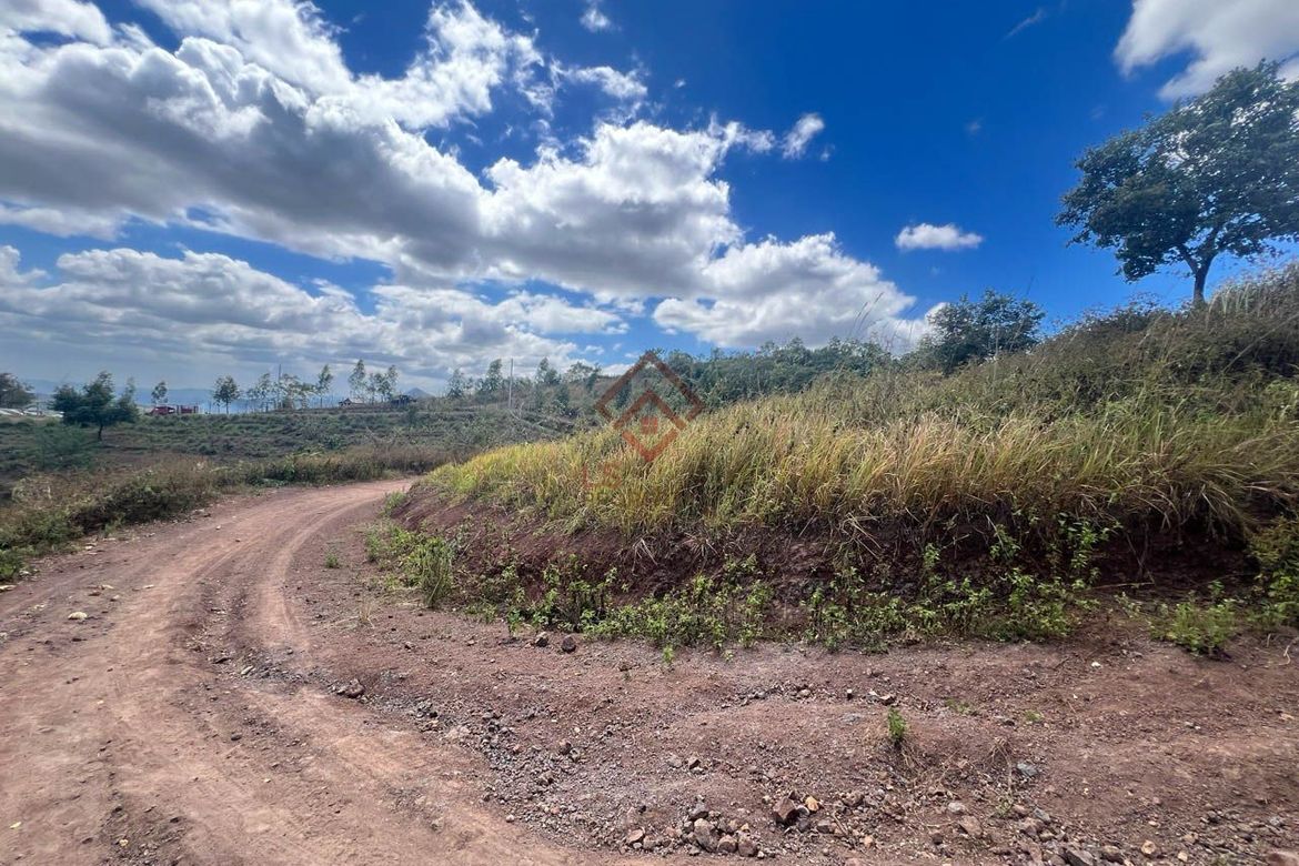 Land for Sale in Ligtasan, Tarlac, Tarlac – photo 8
