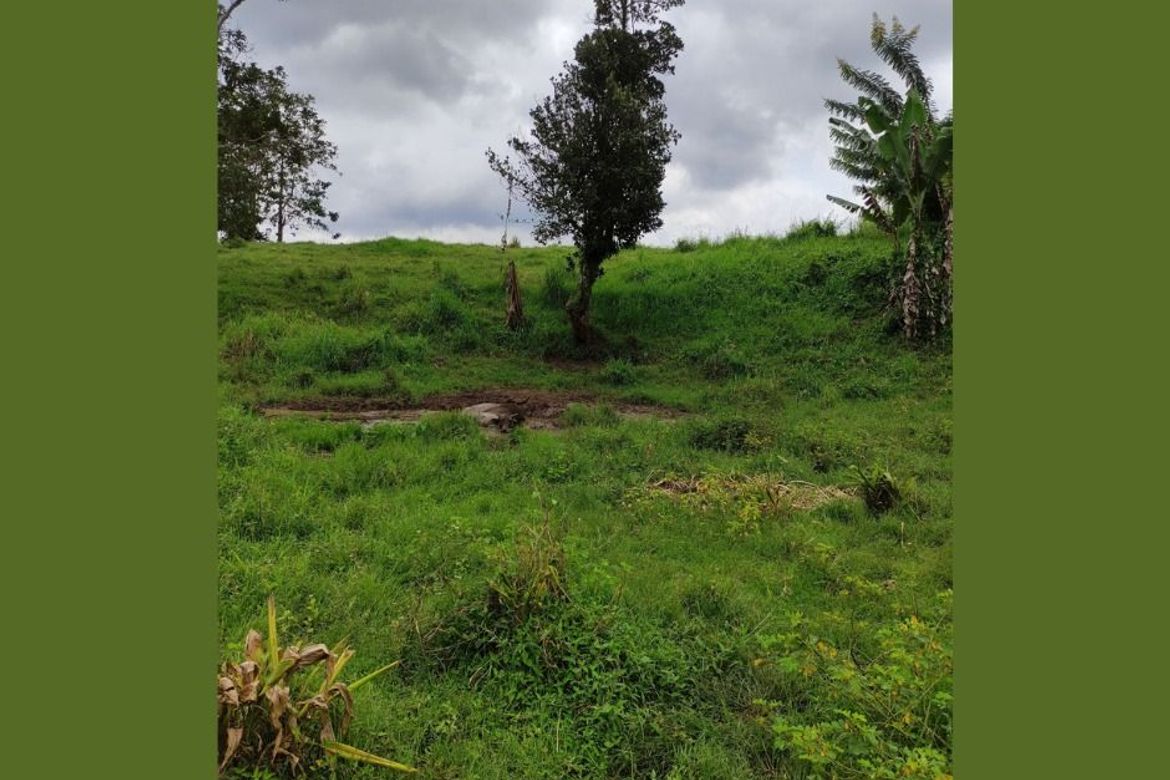 Land for Sale in Lilingayon, Valencia, Bukidnon – photo 2