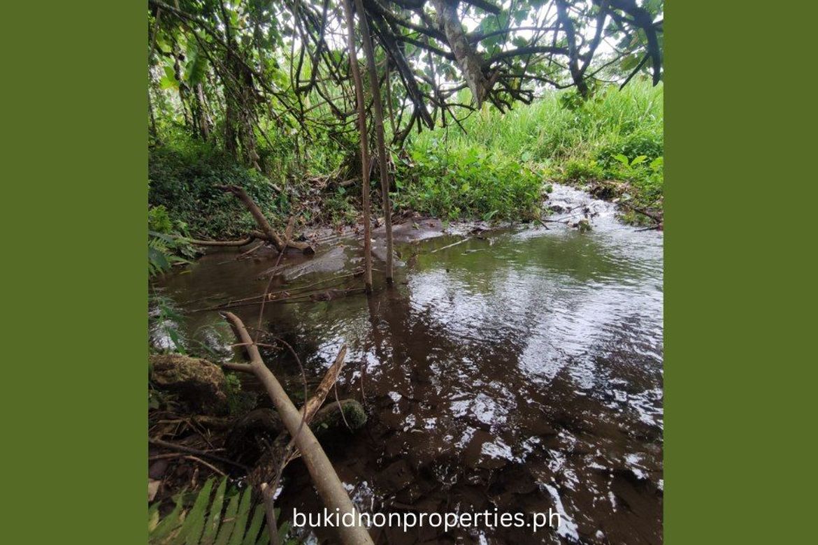 Land for Sale in Lilingayon, Valencia, Bukidnon – photo 3