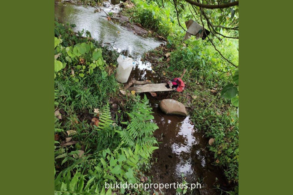 Land for Sale in Lilingayon, Valencia, Bukidnon – photo 4