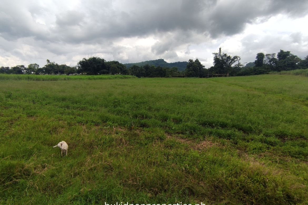 Land for Sale in Lilingayon, Valencia, Bukidnon
