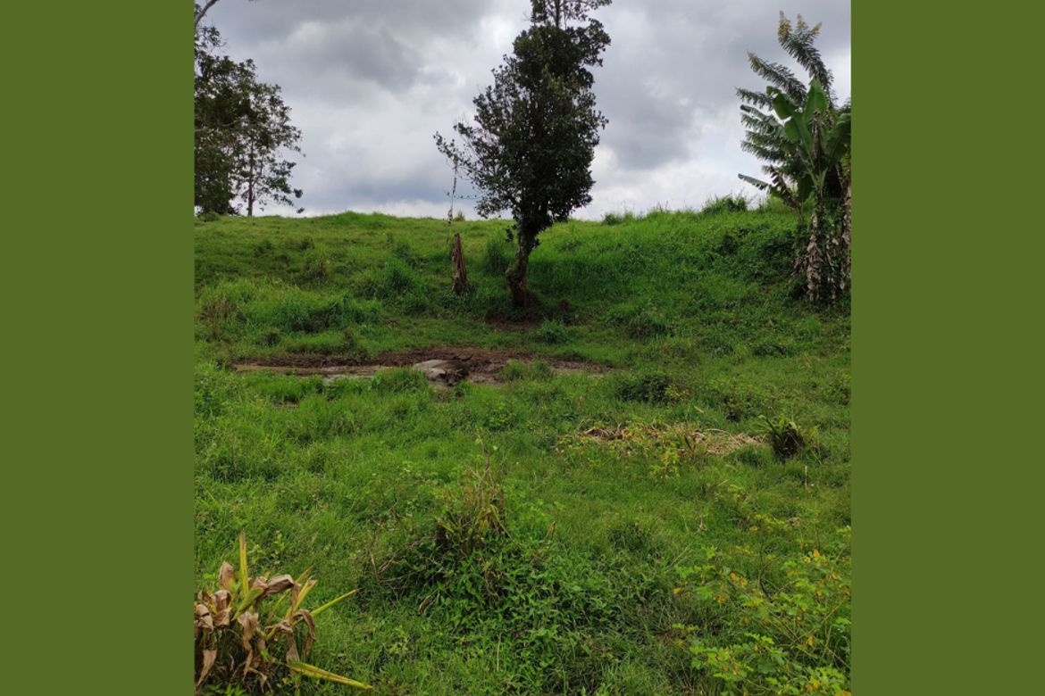 Land for Sale in Lilingayon, Valencia, Bukidnon – photo 3