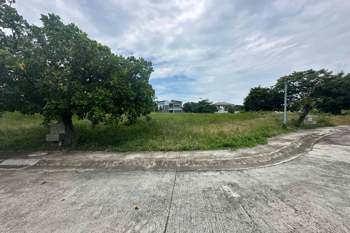 Land for Sale in Liloan, Cebu – photo 3
