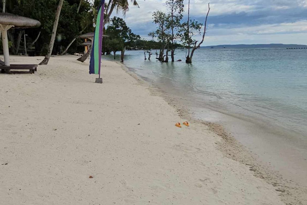 Land for Sale in Limao, Samal, Davao del Norte – photo 4