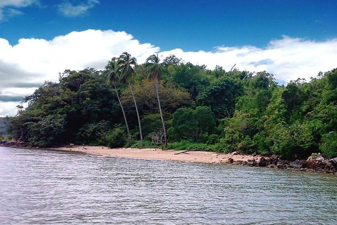 Land for Sale in Liminangcong, Taytay, Palawan – photo 4
