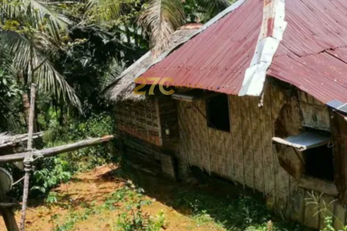 Land for Sale in Linantayan, Basay, Negros Oriental – photo 3