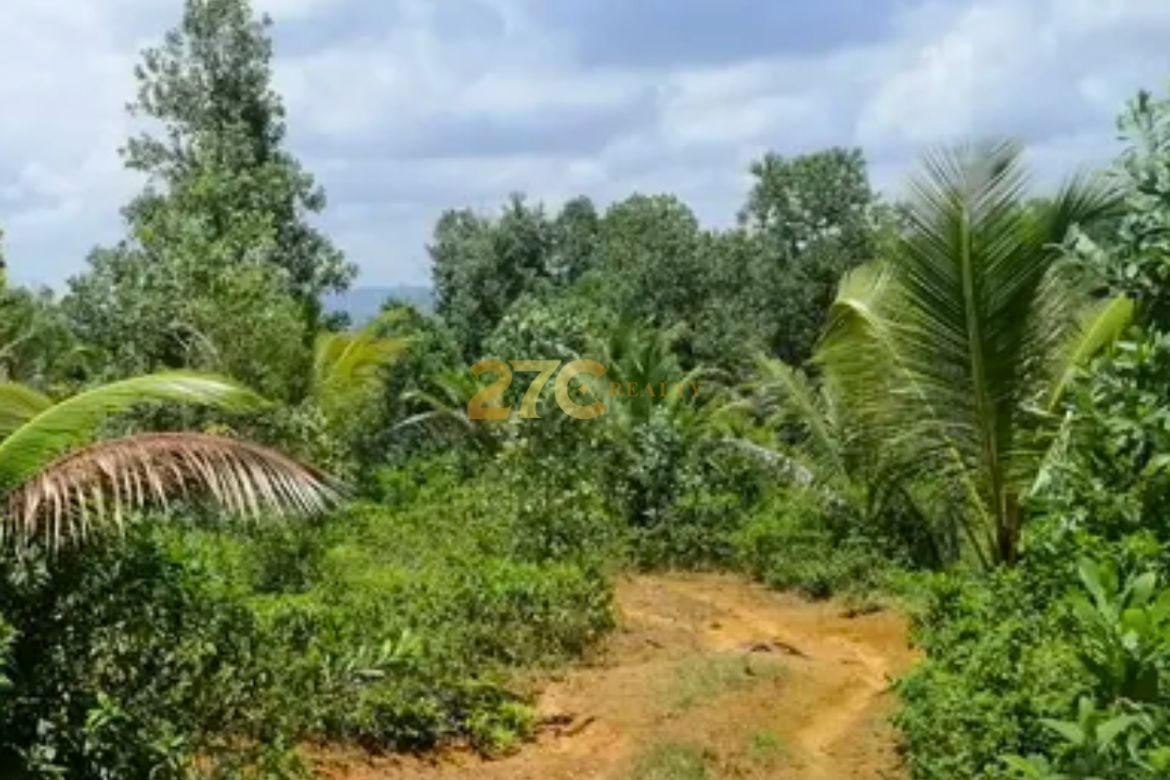 Land for Sale in Linantayan, Basay, Negros Oriental – photo 4