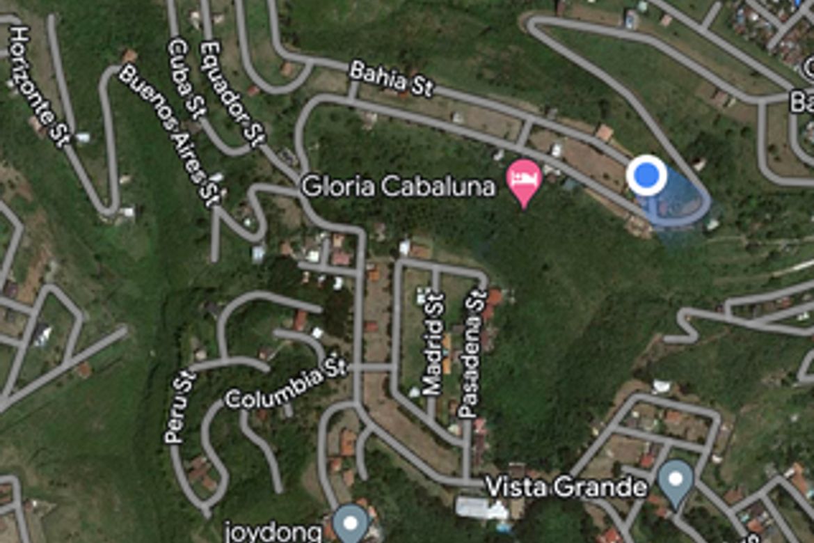 Land for Sale in Linao, Minglanilla, Cebu – photo 2