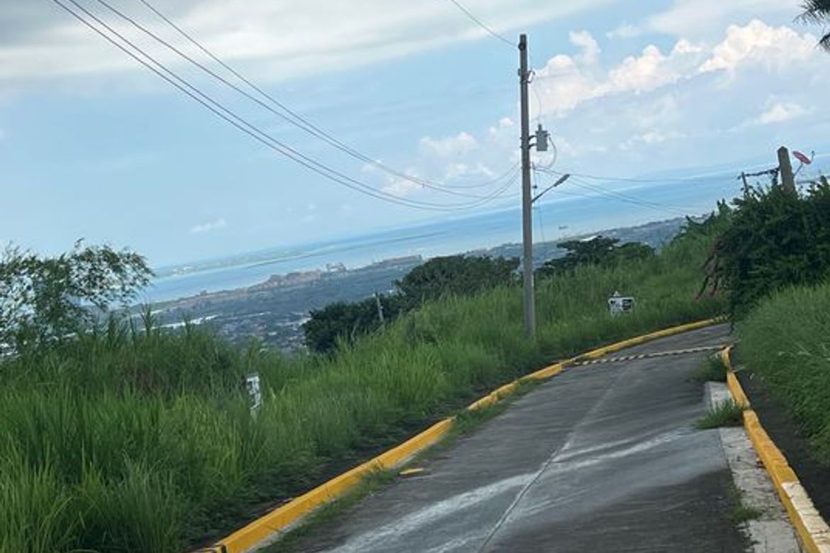 Land for Sale in Linao, Minglanilla, Cebu – photo 3