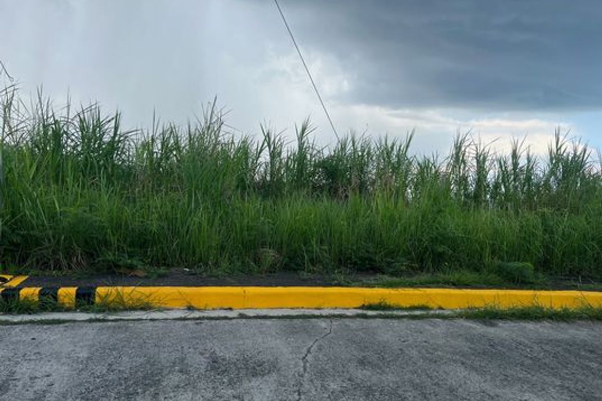 Land for Sale in Linao, Minglanilla, Cebu – photo 4