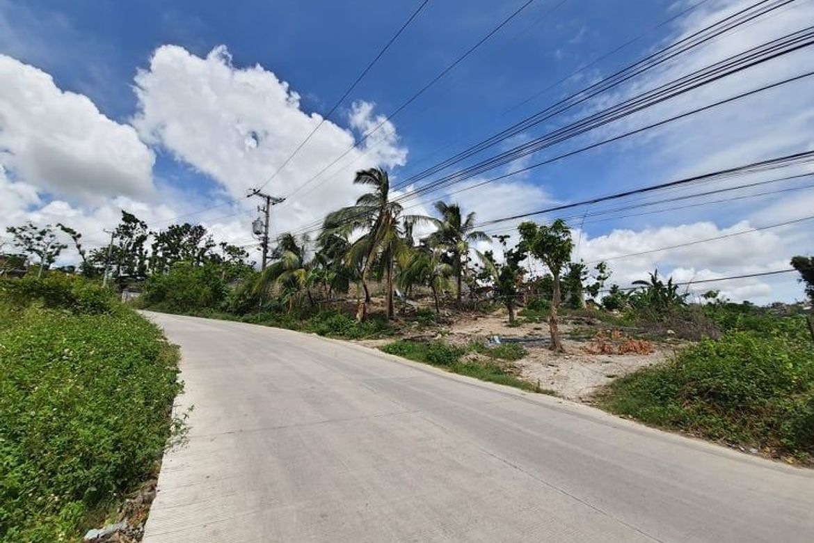 Land for Sale in Linao, Talisay, Cebu – photo 2