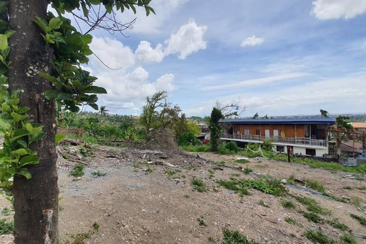 Land for Sale in Linao, Talisay, Cebu – photo 3