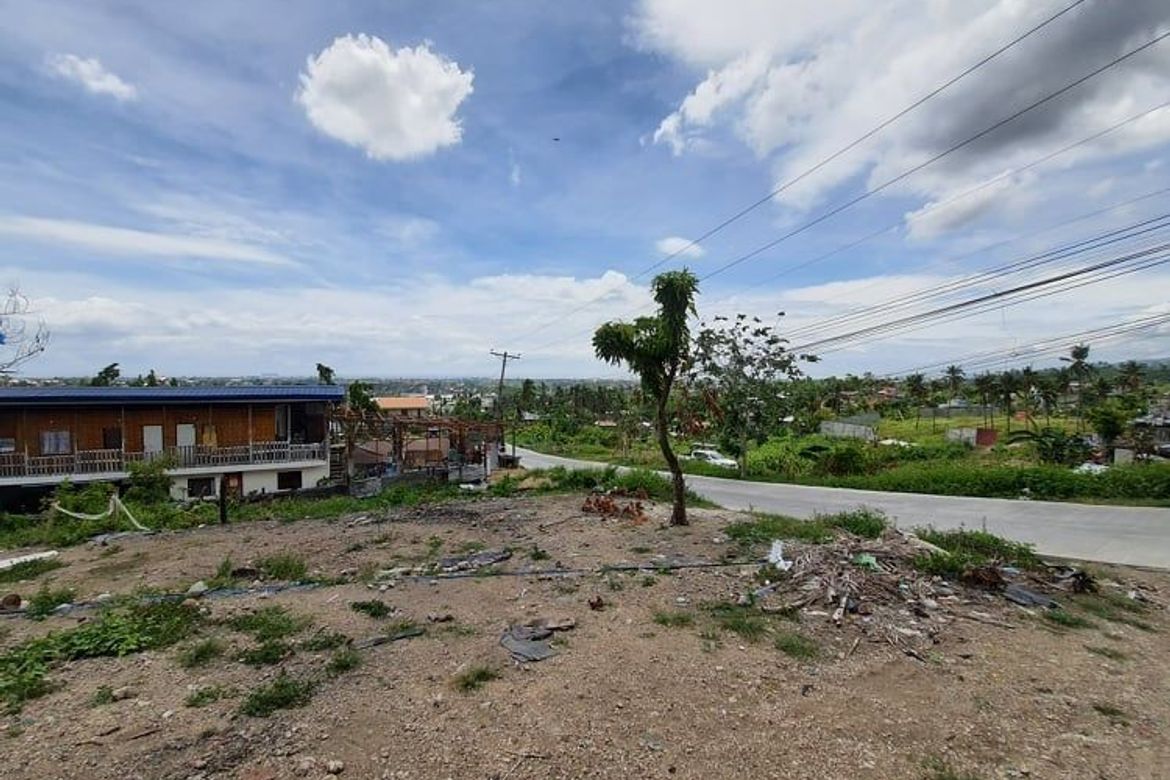 Land for Sale in Linao, Talisay, Cebu – photo 4