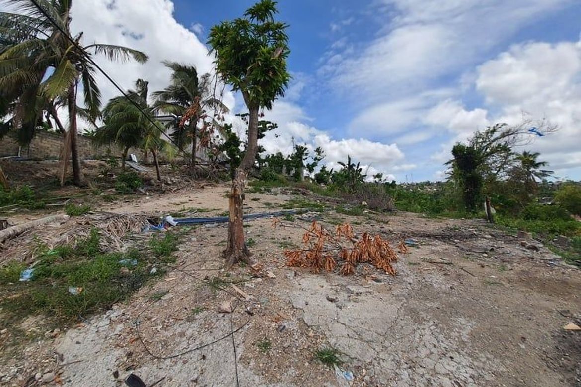 Land for Sale in Linao, Talisay, Cebu – photo 6