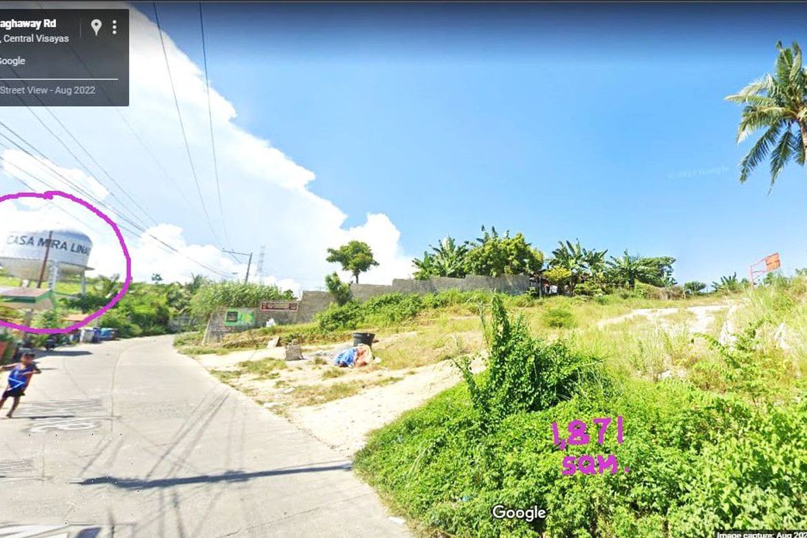 Land for Sale in Linao, Talisay, Cebu – photo 3