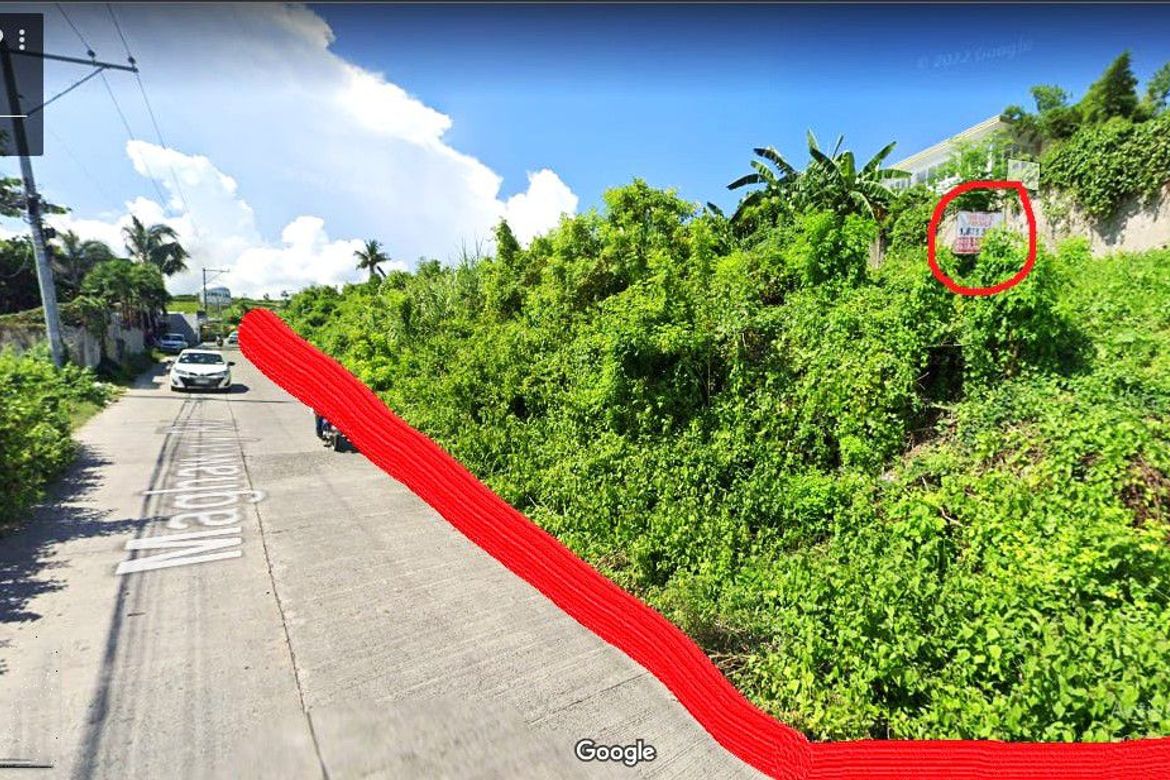 Land for Sale in Linao, Talisay, Cebu – photo 4