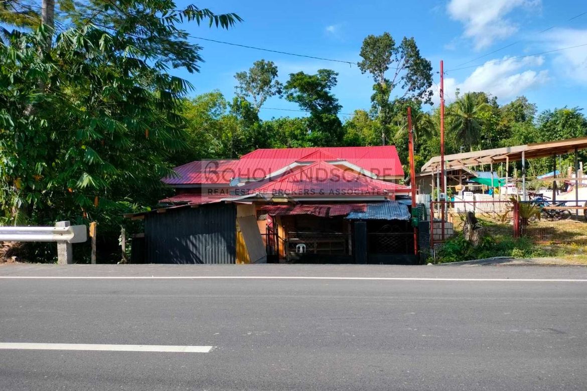 Land for Sale in Lincod, Maribojoc, Bohol – photo 3