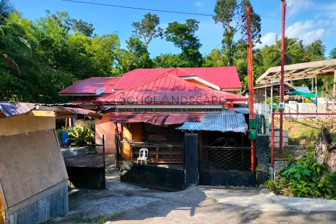 Land for Sale in Lincod, Maribojoc, Bohol – photo 5