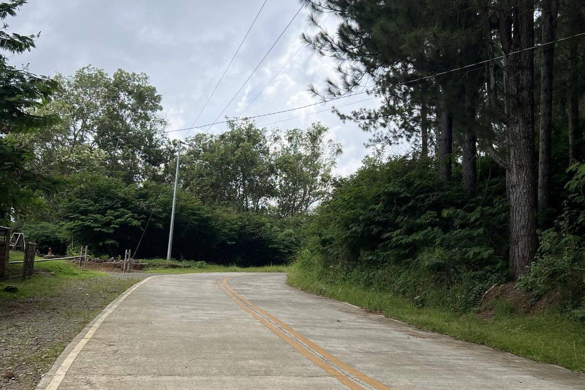 Land for Sale in Lindaban, Manolo Fortich, Bukidnon – photo 2