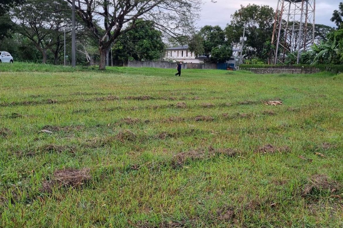 Land for Sale in Lindenwood Residences, Tunasan, Muntinlupa, Metro Manila – photo 4