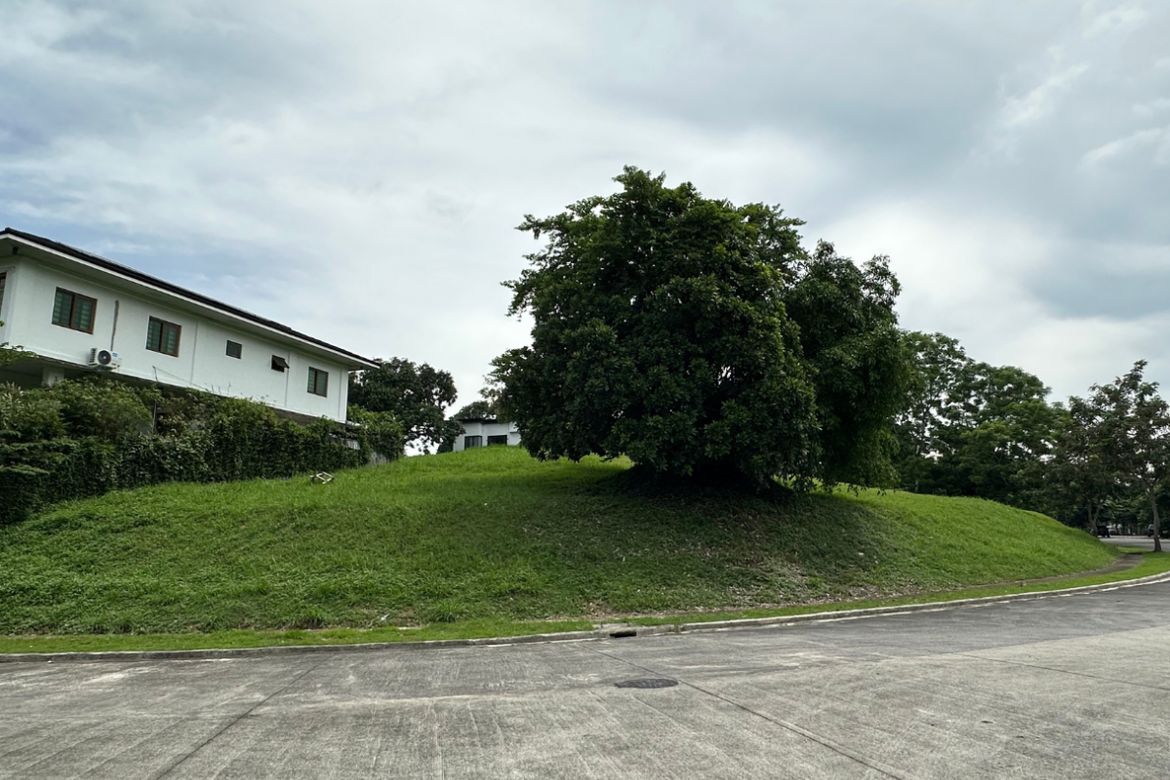 Land for Sale in Lindenwood Residences, Tunasan, Muntinlupa, Metro Manila – photo 2