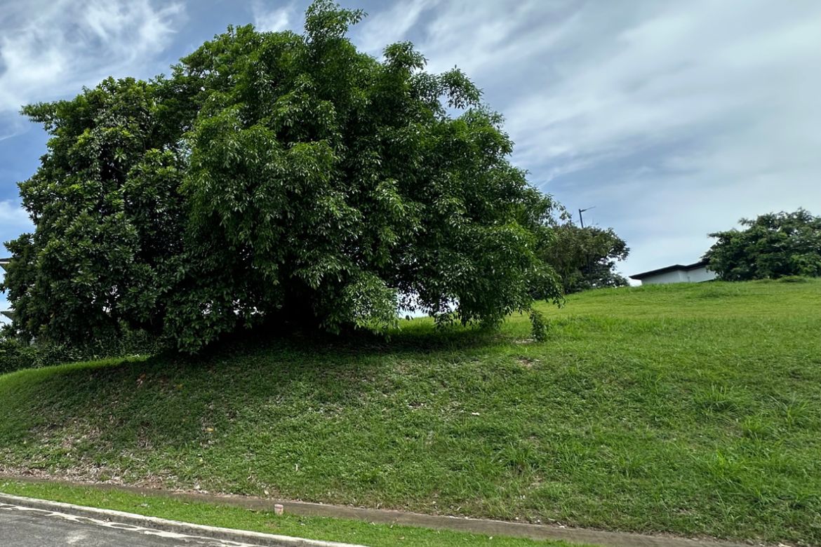 Land for Sale in Lindenwood Residences, Tunasan, Muntinlupa, Metro Manila – photo 6