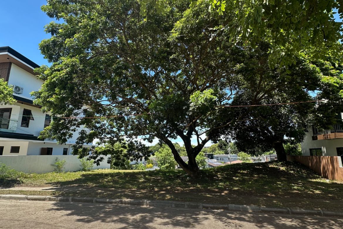 Land for Sale in Lindenwood Residences, Tunasan, Muntinlupa, Metro Manila