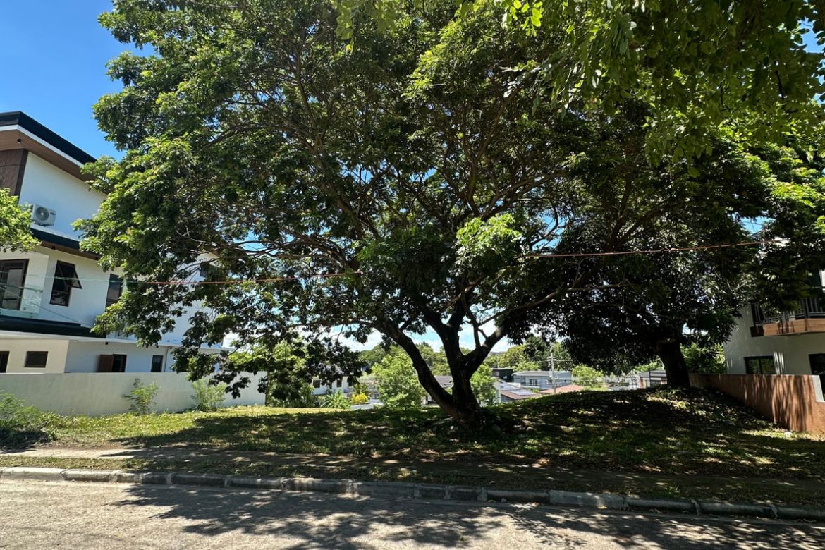 Land for Sale in Lindenwood Residences, Tunasan, Muntinlupa, Metro Manila – photo 2