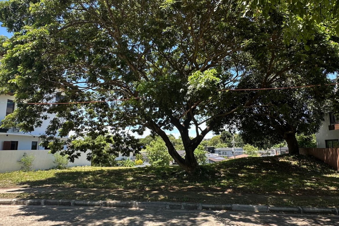 Land for Sale in Lindenwood Residences, Tunasan, Muntinlupa, Metro Manila – photo 7