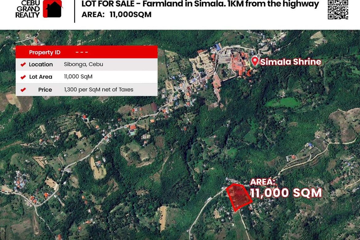 Land for Sale in Lindogon, Sibonga, Cebu