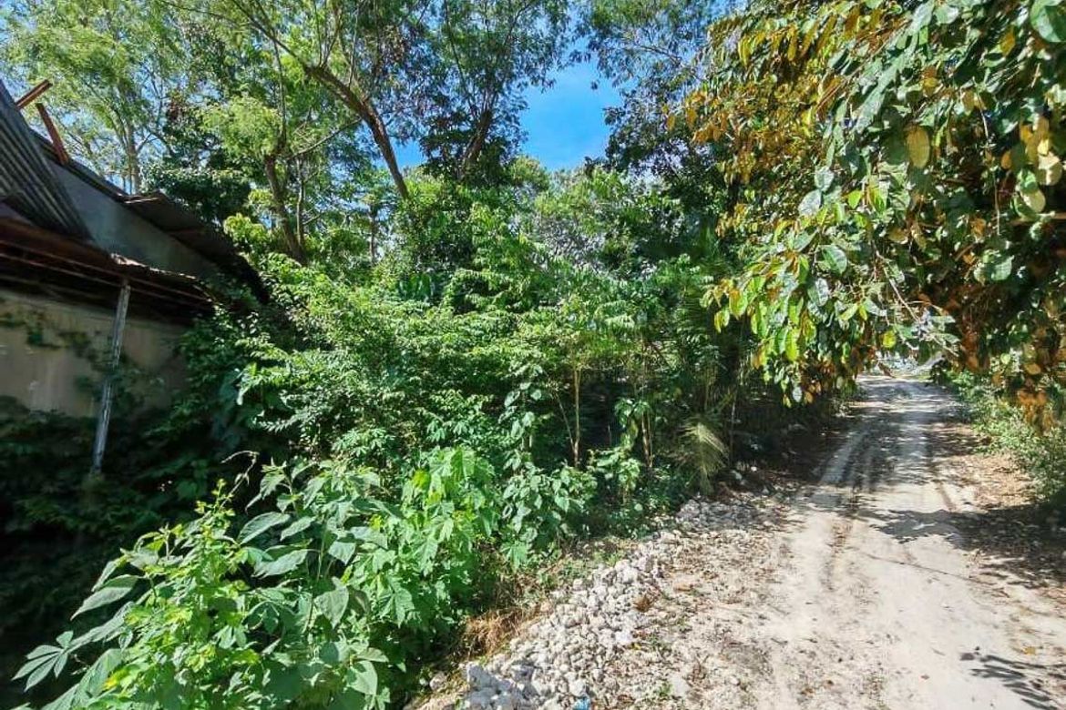 Land for Sale in Lindogon, Sibonga, Cebu – photo 4