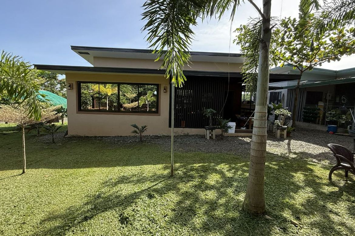 Land for Sale in Lingating, Baungon, Bukidnon – photo 2