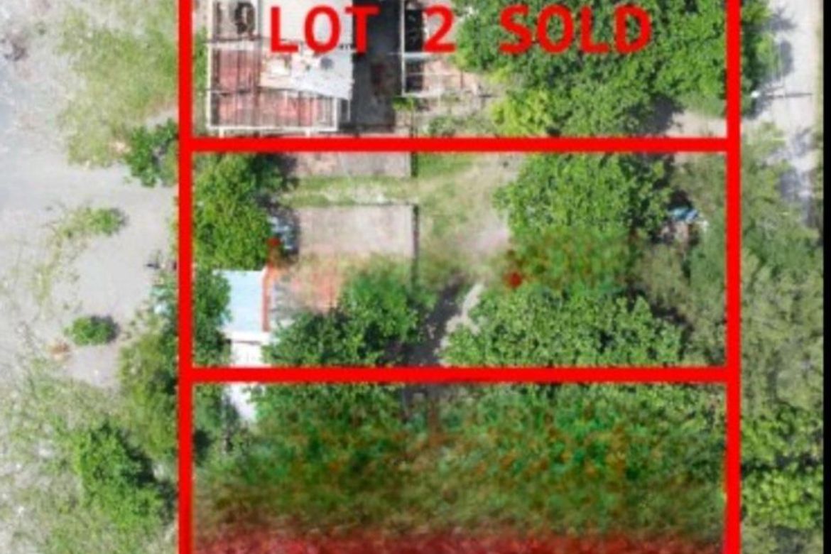 Land for Sale in Lipay-Dingin-Panibuatan, Iba, Zambales – photo 6