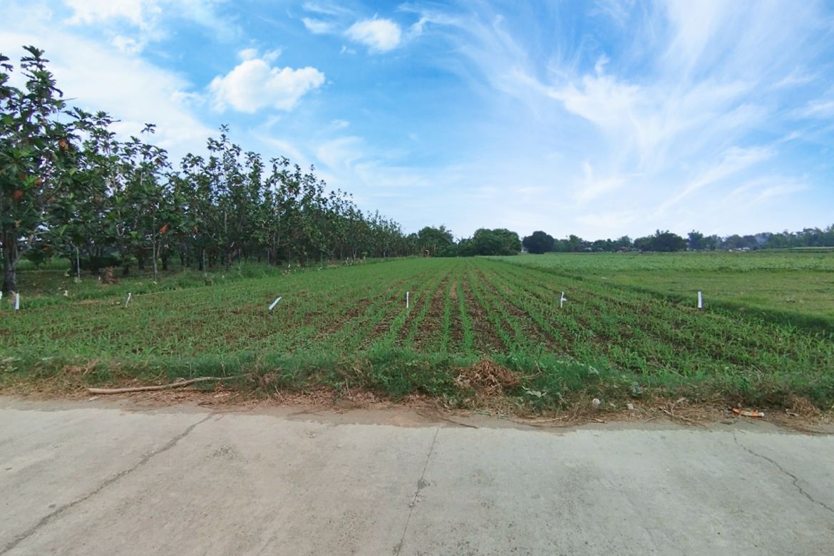 Land for Sale in Lipay, Villasis, Pangasinan – photo 3
