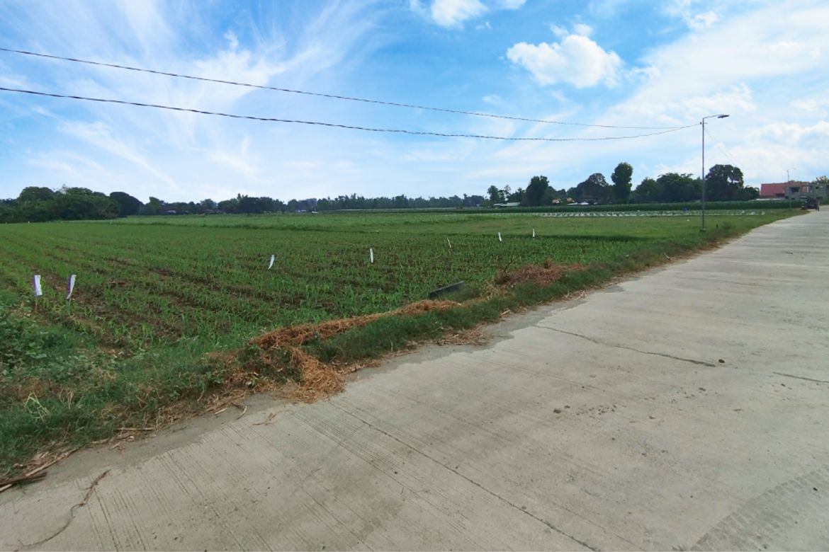 Land for Sale in Lipay, Villasis, Pangasinan – photo 4