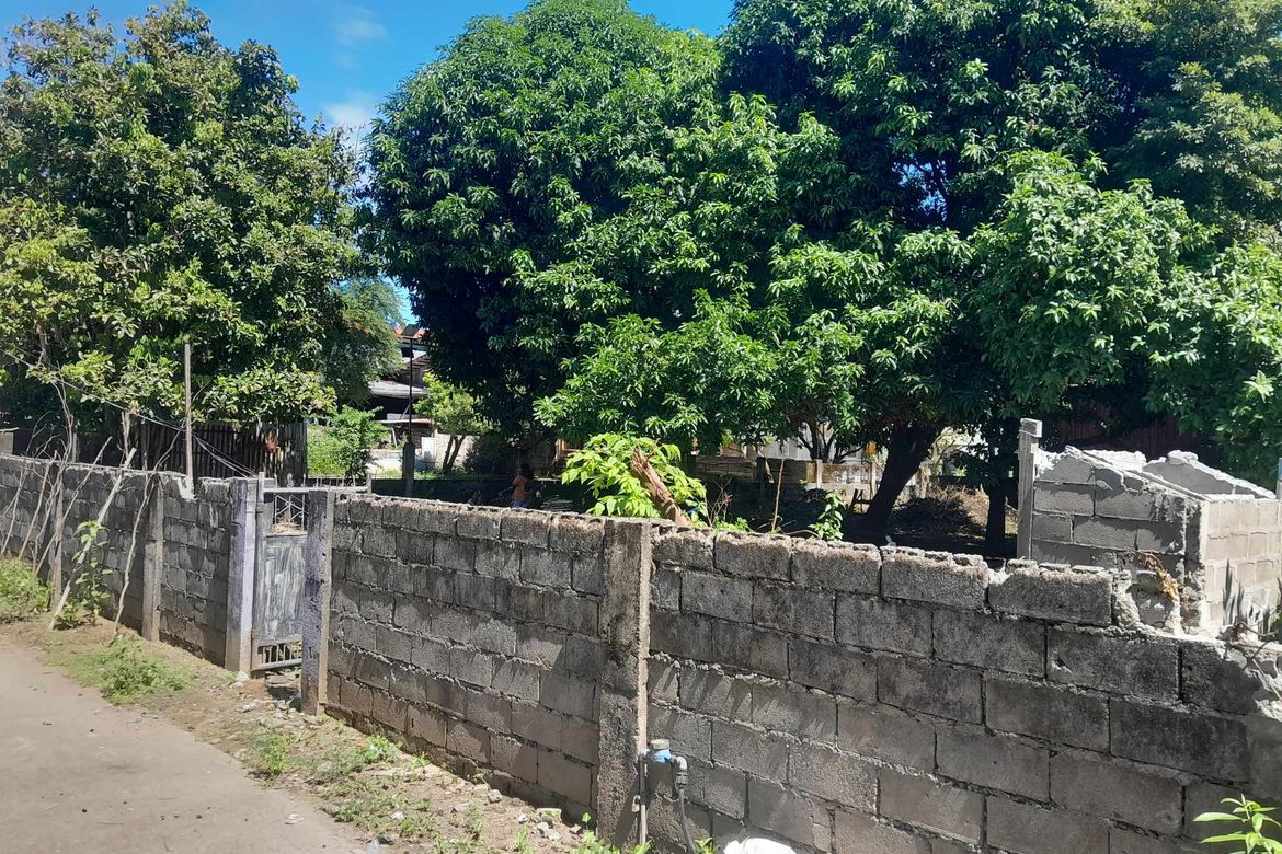 Land for Sale in Lipay, Villasis, Pangasinan
