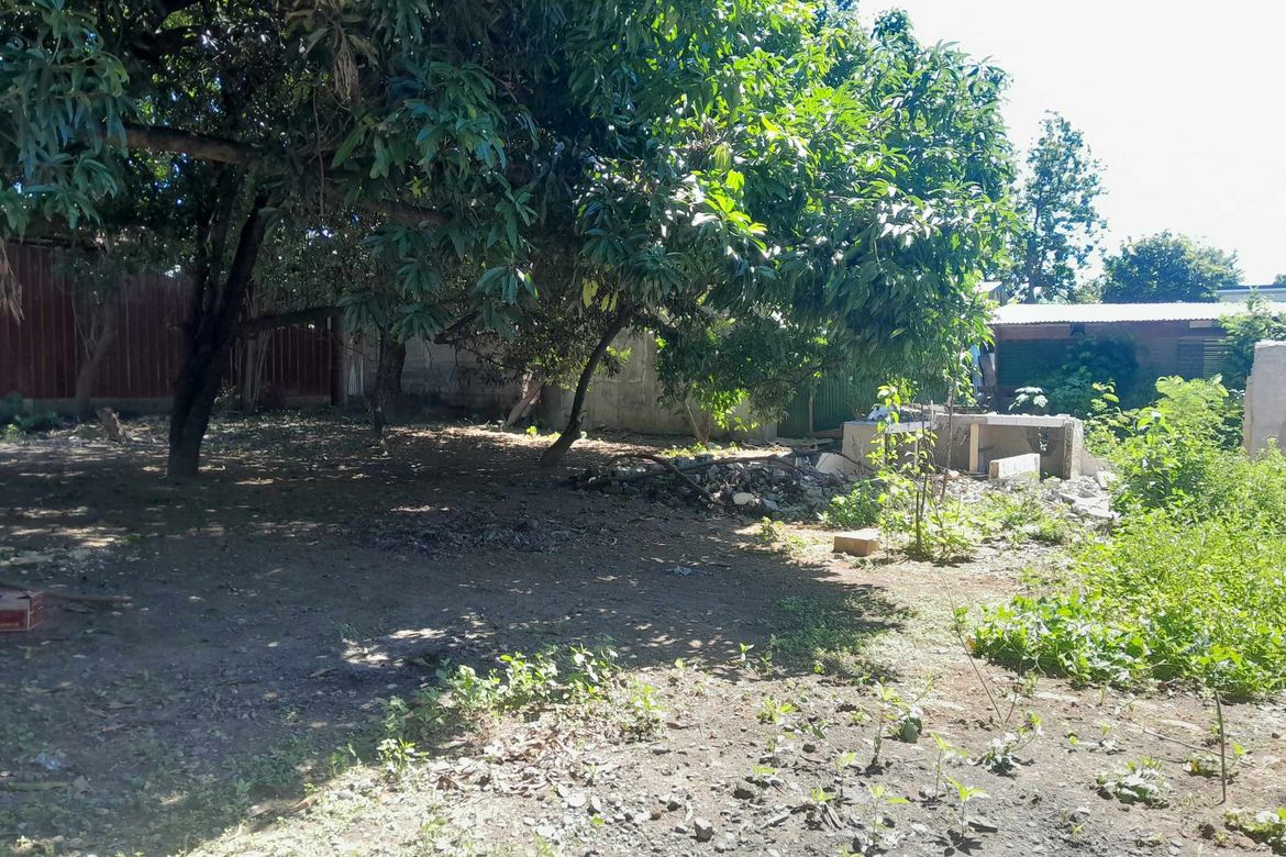 Land for Sale in Lipay, Villasis, Pangasinan – photo 2