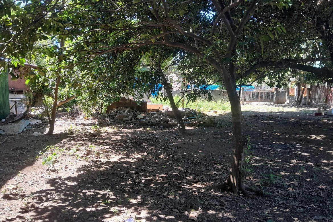 Land for Sale in Lipay, Villasis, Pangasinan – photo 3