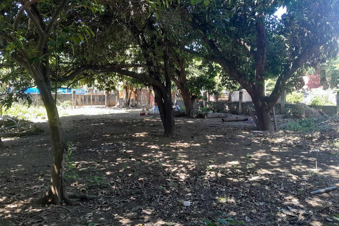 Land for Sale in Lipay, Villasis, Pangasinan – photo 7