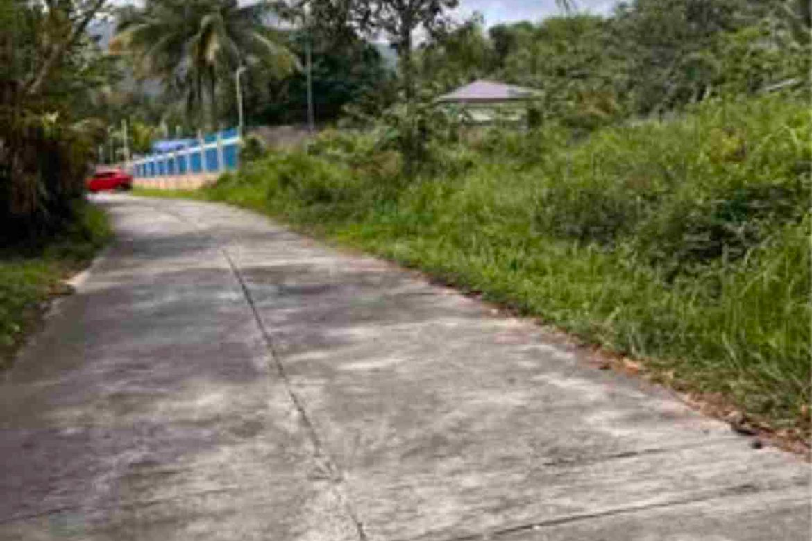 Land for Sale in Liptong, Bacong, Negros Oriental