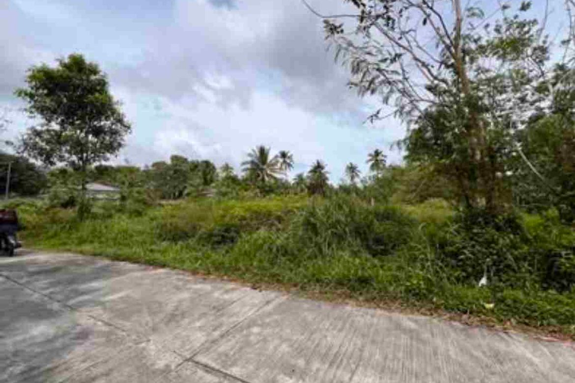 Land for Sale in Liptong, Bacong, Negros Oriental – photo 2