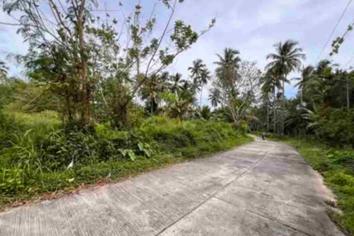 Land for Sale in Liptong, Bacong, Negros Oriental – photo 5